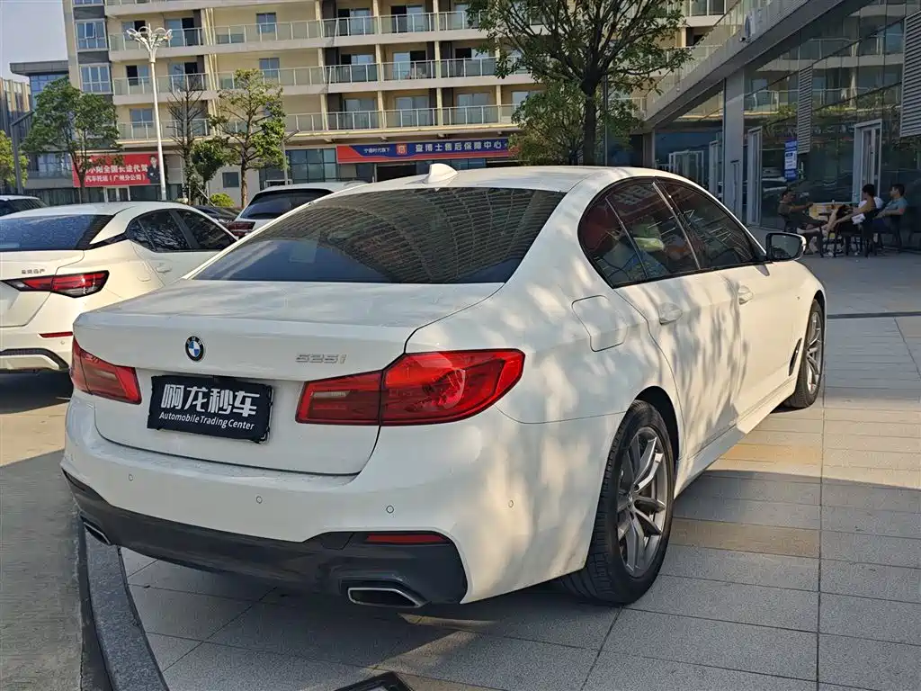 BMW 5 Series (Import) — миниатюра 5