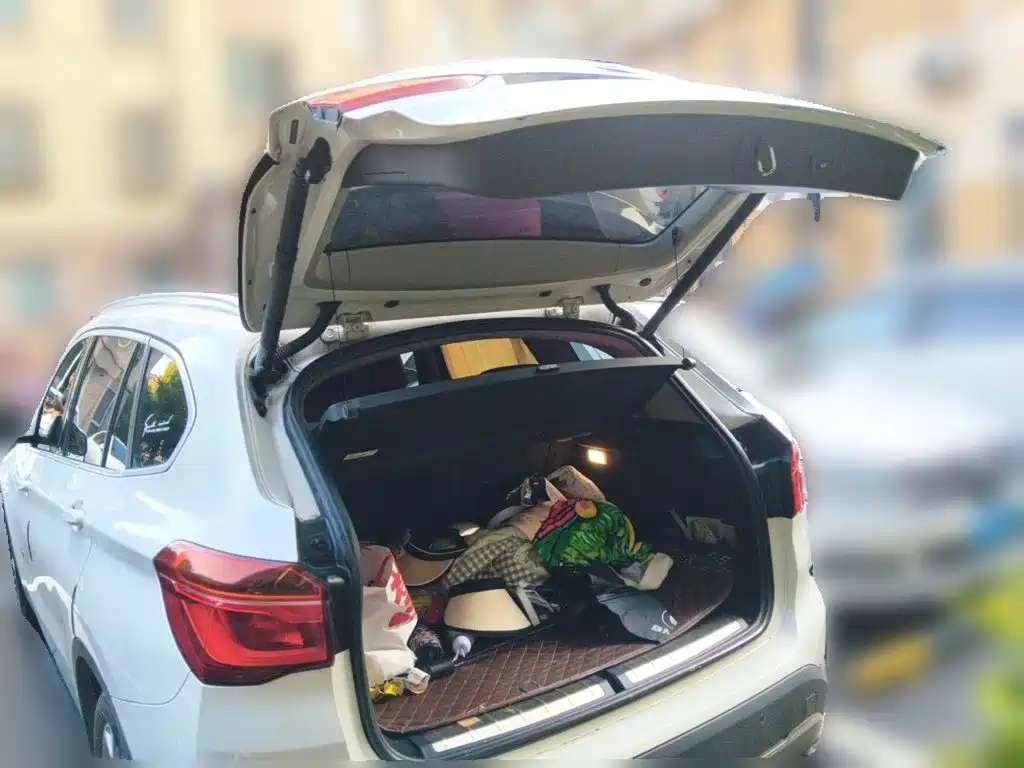 BMW X1 — миниатюра 20
