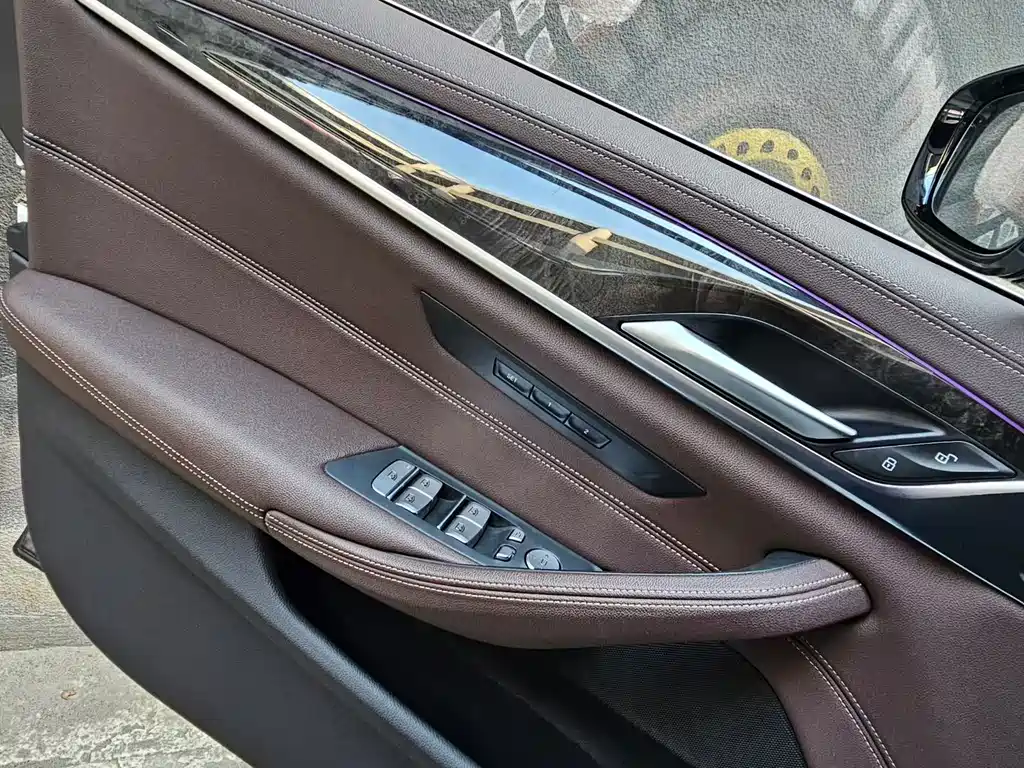 BMW 5 Series 5 2020 525Li M Sport