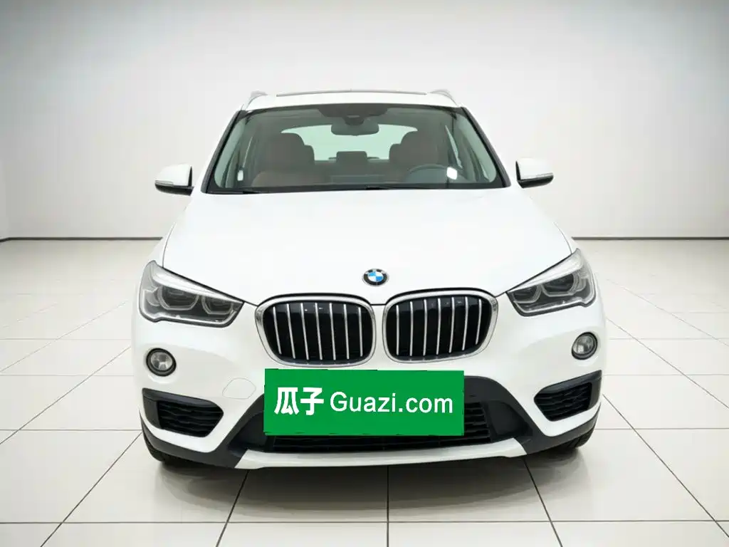 BMW X1 — миниатюра 2
