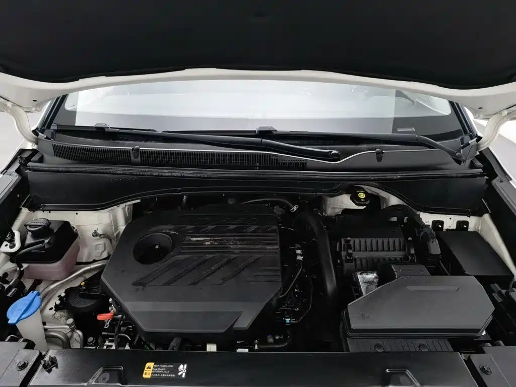 Hyundai Custo — миниатюра 6