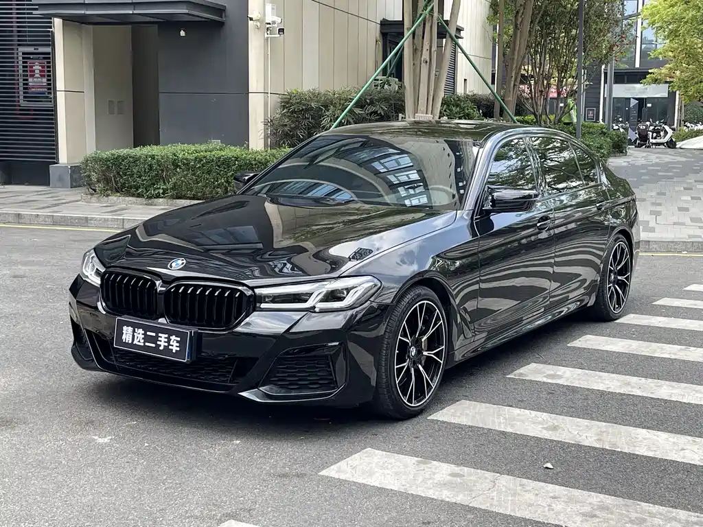 BMW 5 Series 2019