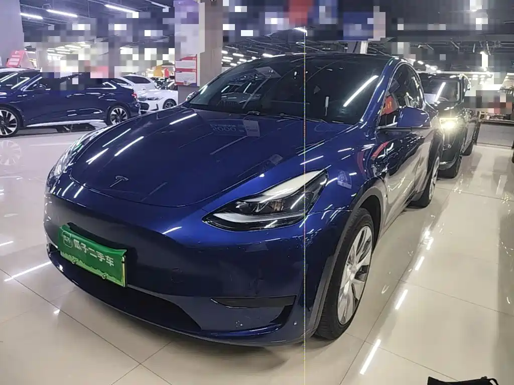 Tesla Model Y — миниатюра 2