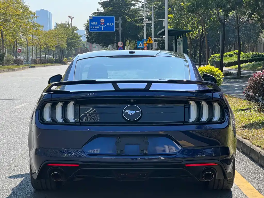 Ford Mustang — миниатюра 16
