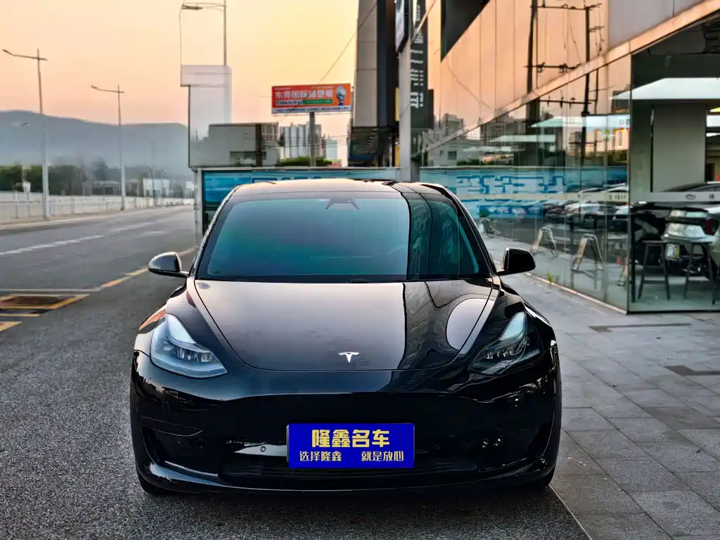 Tesla Model 3 — миниатюра 2