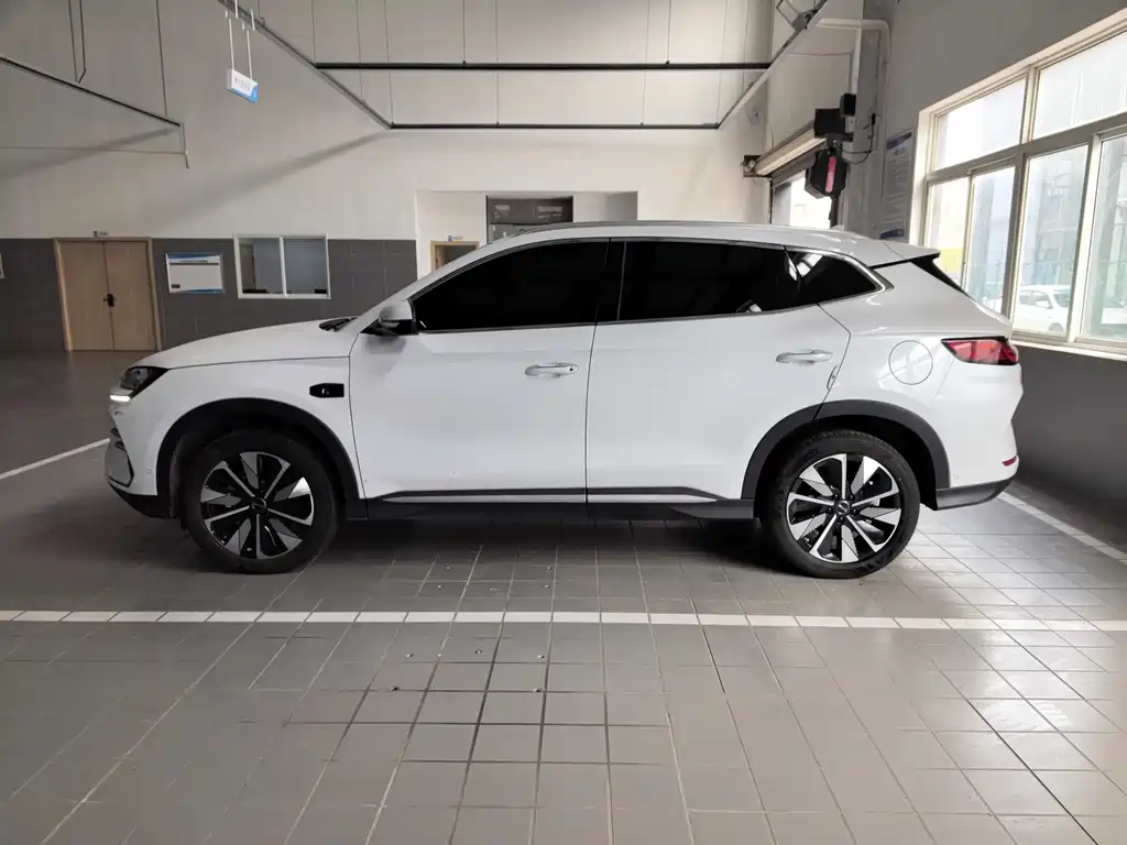 BYD SONGJIANG NEW ENERGY