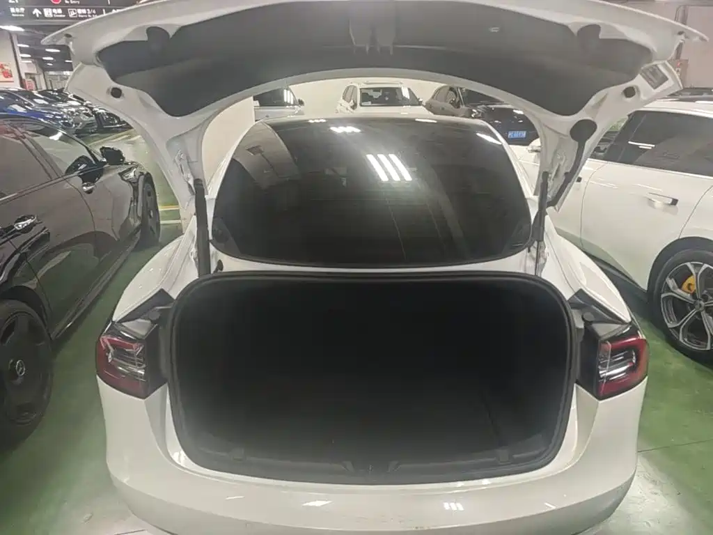 Tesla Model 3 — миниатюра 19
