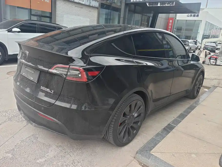 Tesla Model Y — миниатюра 3