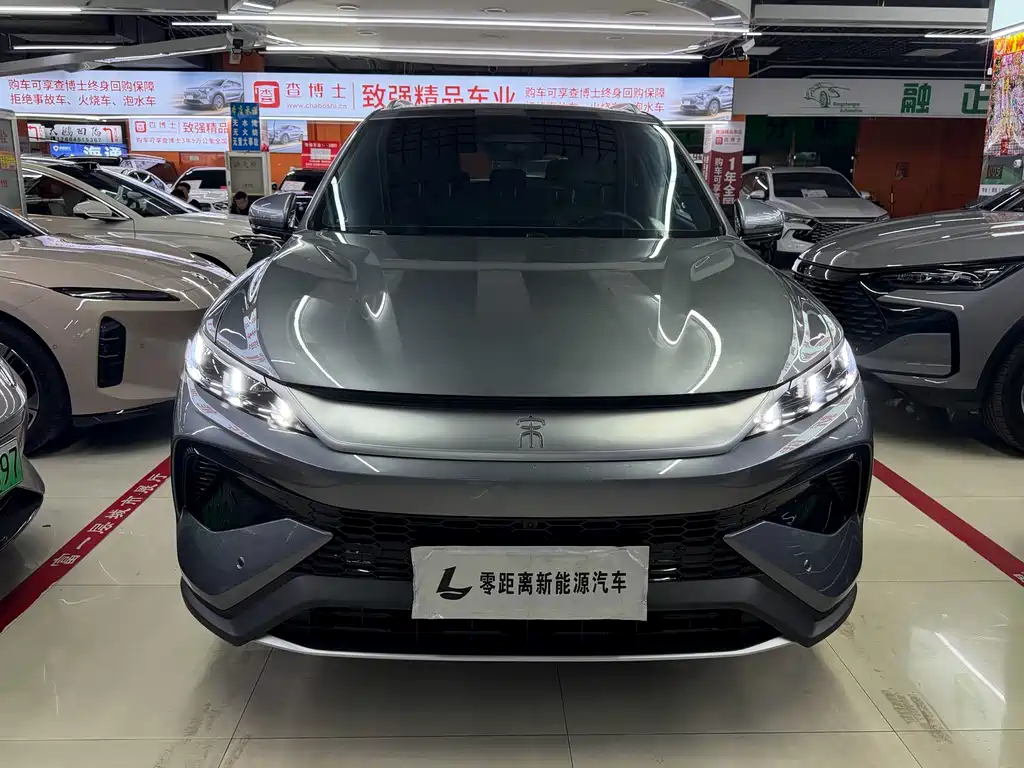 BYD Pro New Energy — миниатюра 2