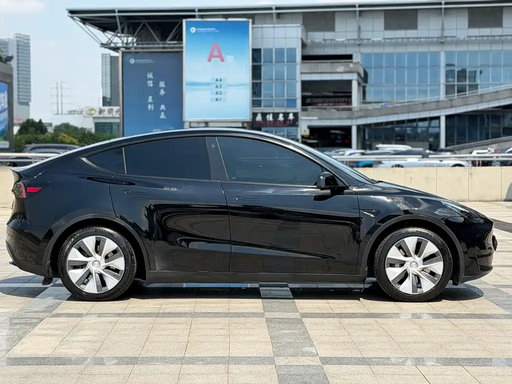 Tesla Model Y — миниатюра 7