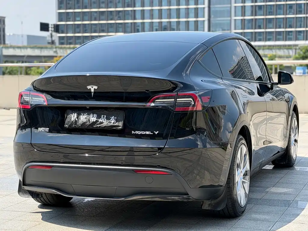 Tesla Model Y — миниатюра 6