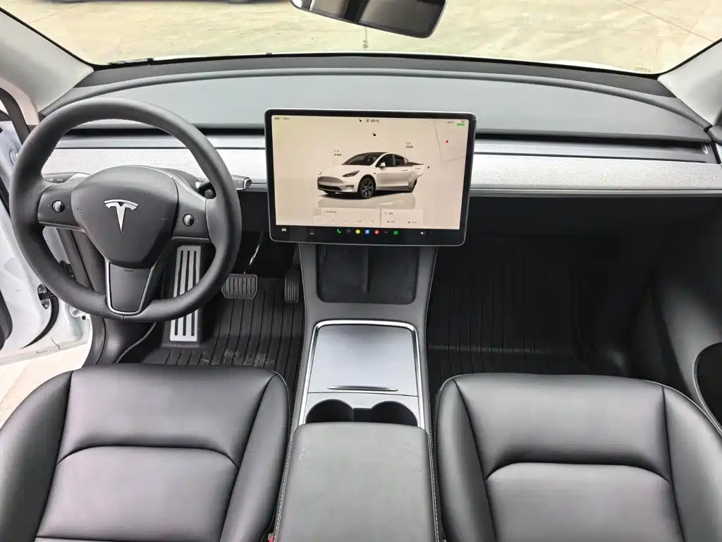 Tesla Model Y — миниатюра 9