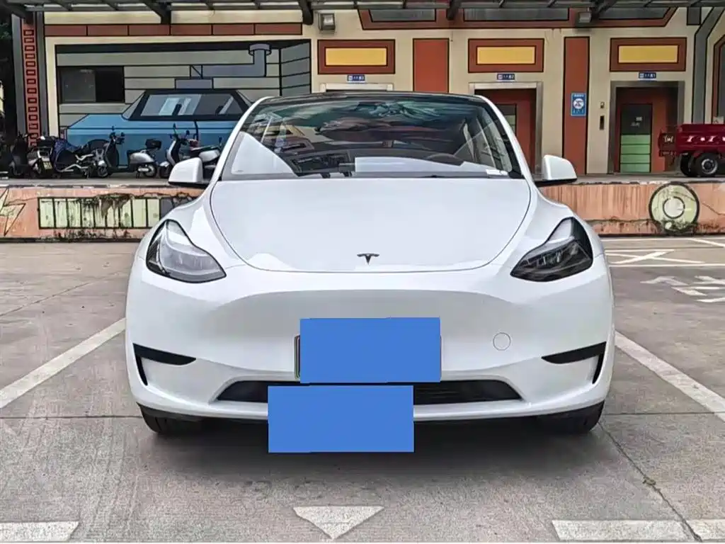 Tesla Model Y — миниатюра 2