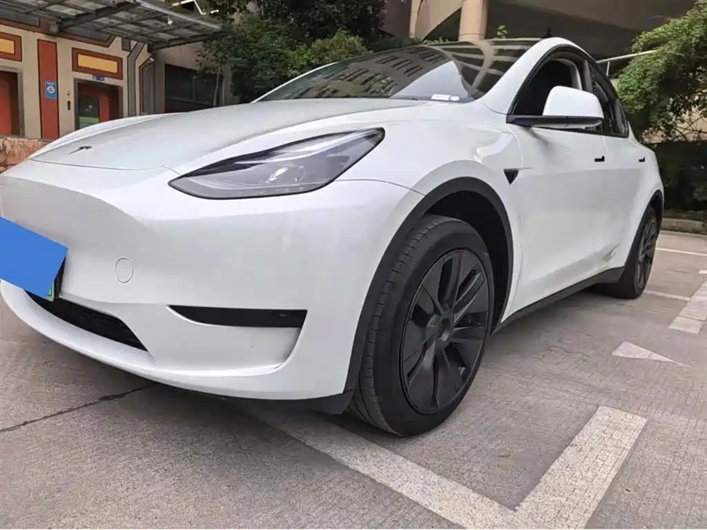 Tesla Model Y — миниатюра 7