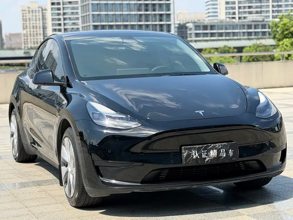 Tesla Model Y — миниатюра 3