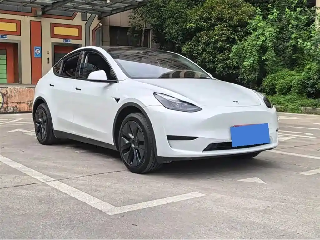 Tesla Model Y — миниатюра 3