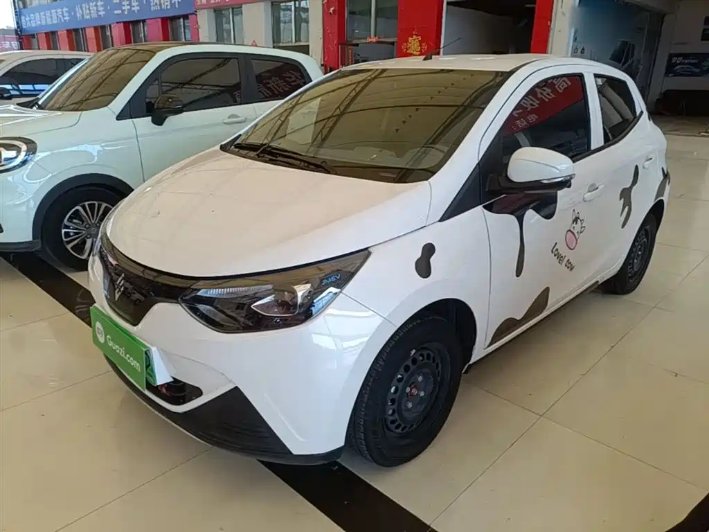 Jmev 易至EV2 2024