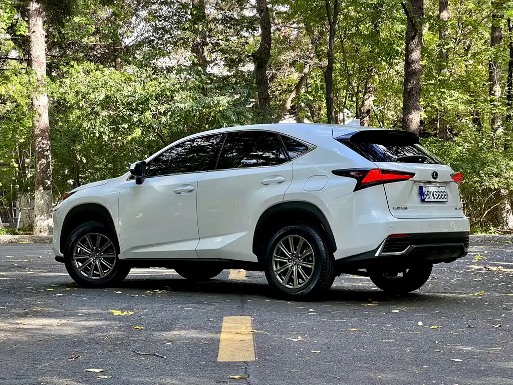 Lexus NX — миниатюра 12