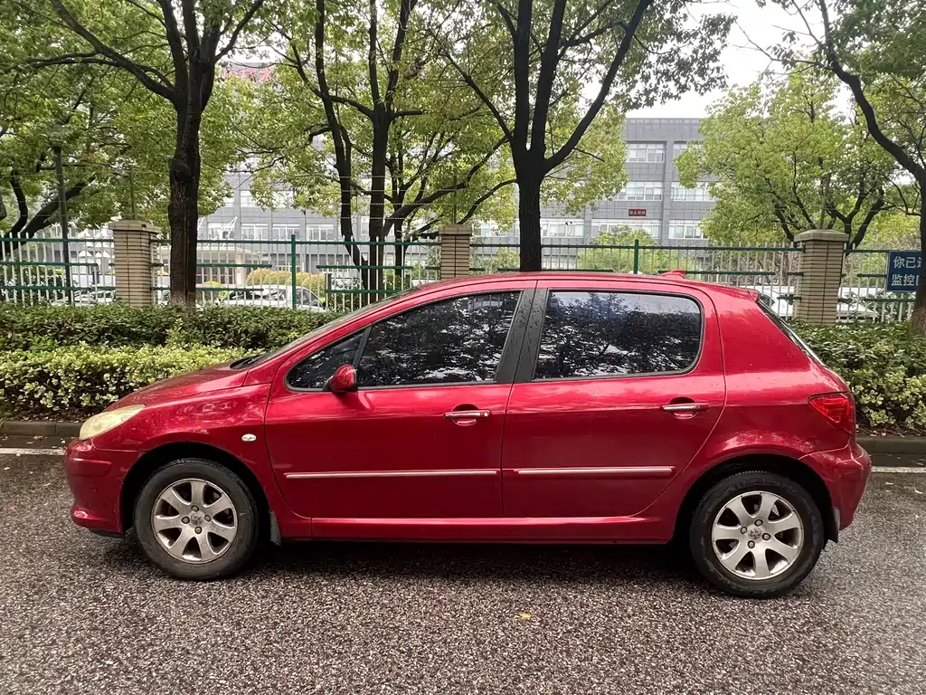 Peugeot 307 — миниатюра 3
