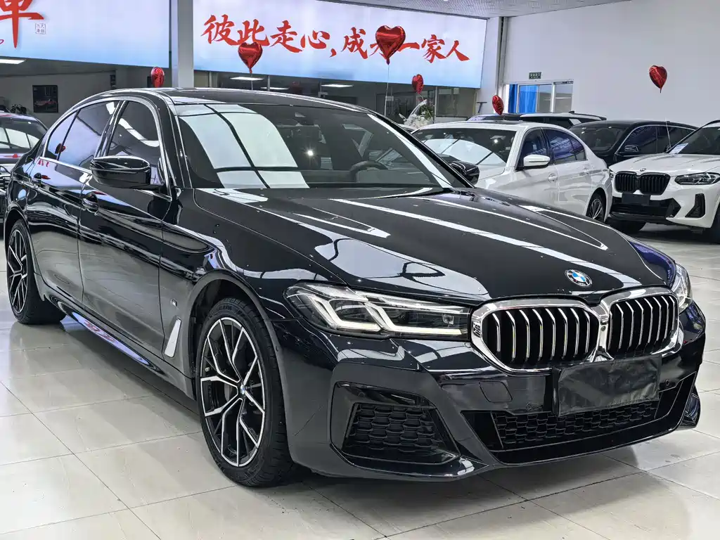 BMW 5 Series — миниатюра 2