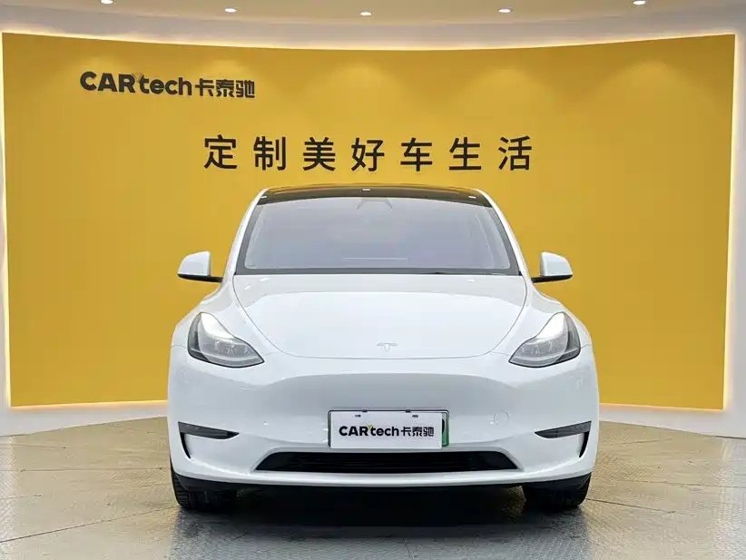 Tesla Model Y — миниатюра 2