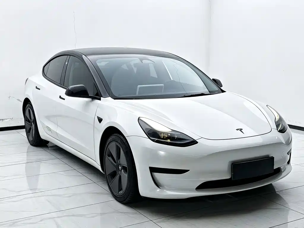 Tesla Model 3 — миниатюра 3
