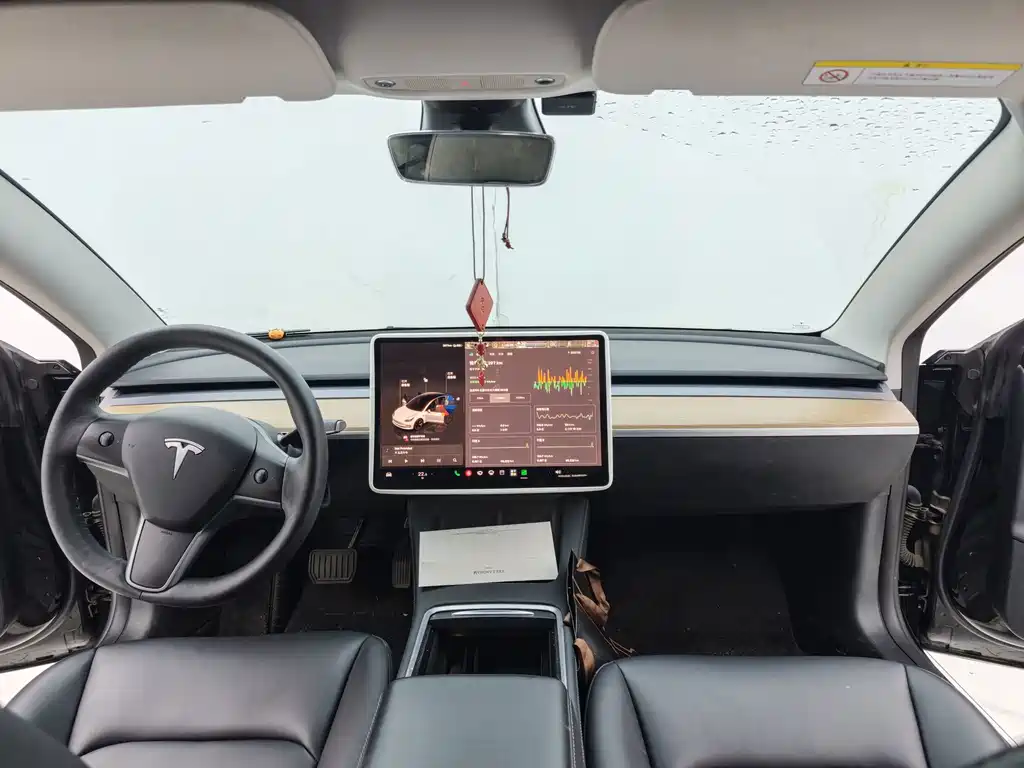 Tesla Model 3 — миниатюра 7