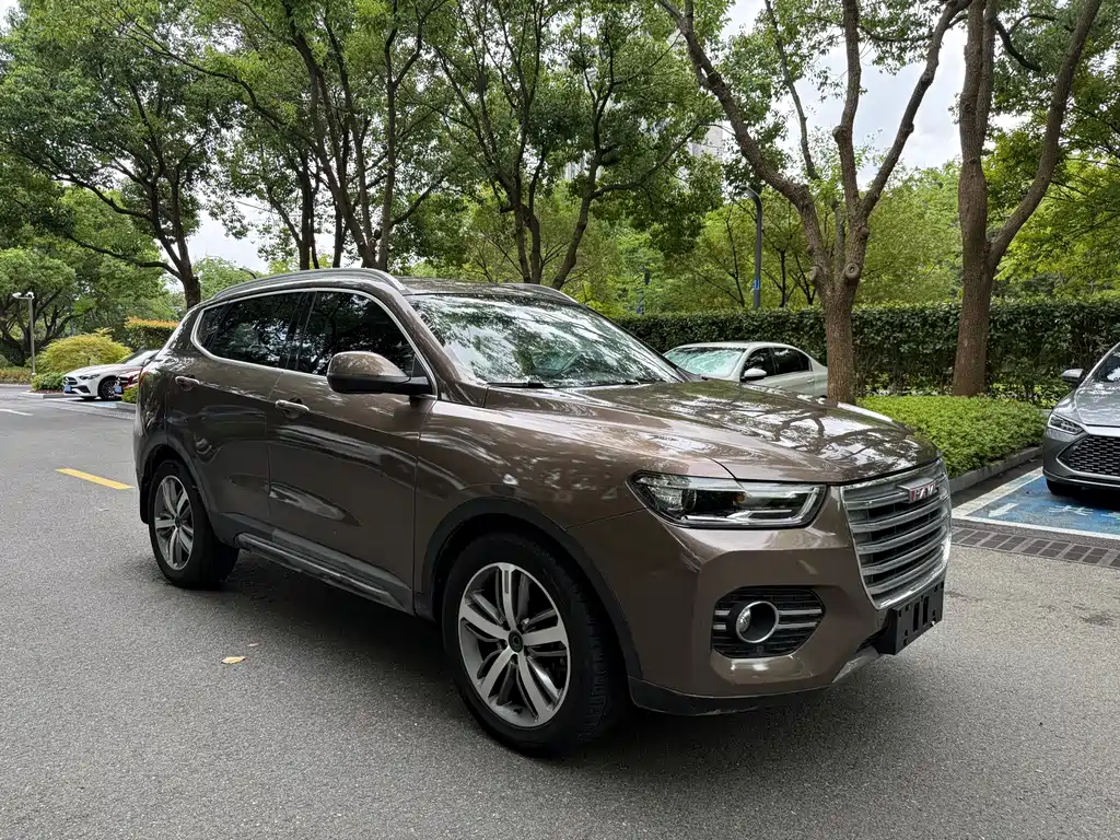 Haval H6 — миниатюра 5