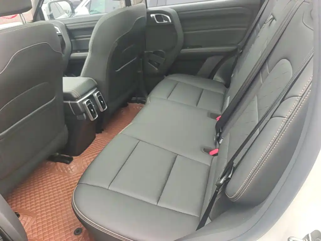 Haval 长城大狗 — миниатюра 17