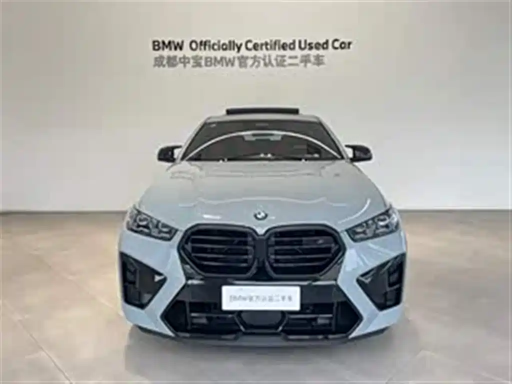 BMW X6 M — миниатюра 4