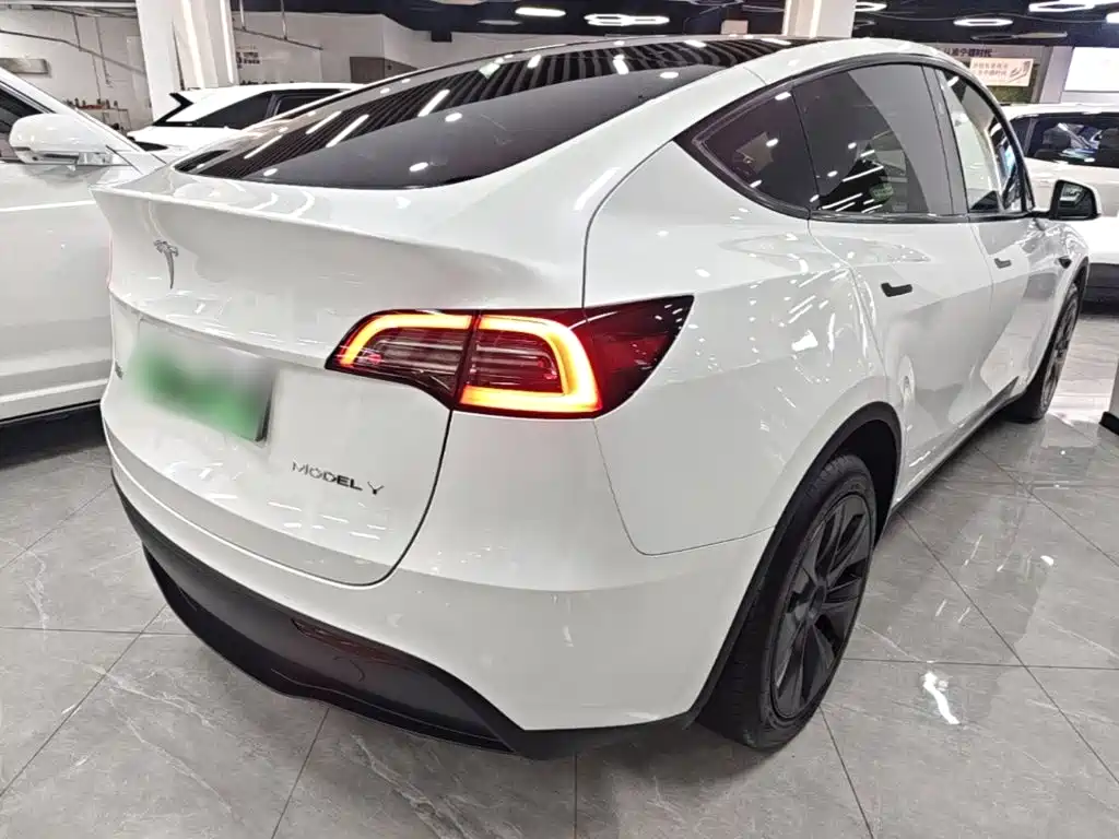Tesla Model Y — миниатюра 7