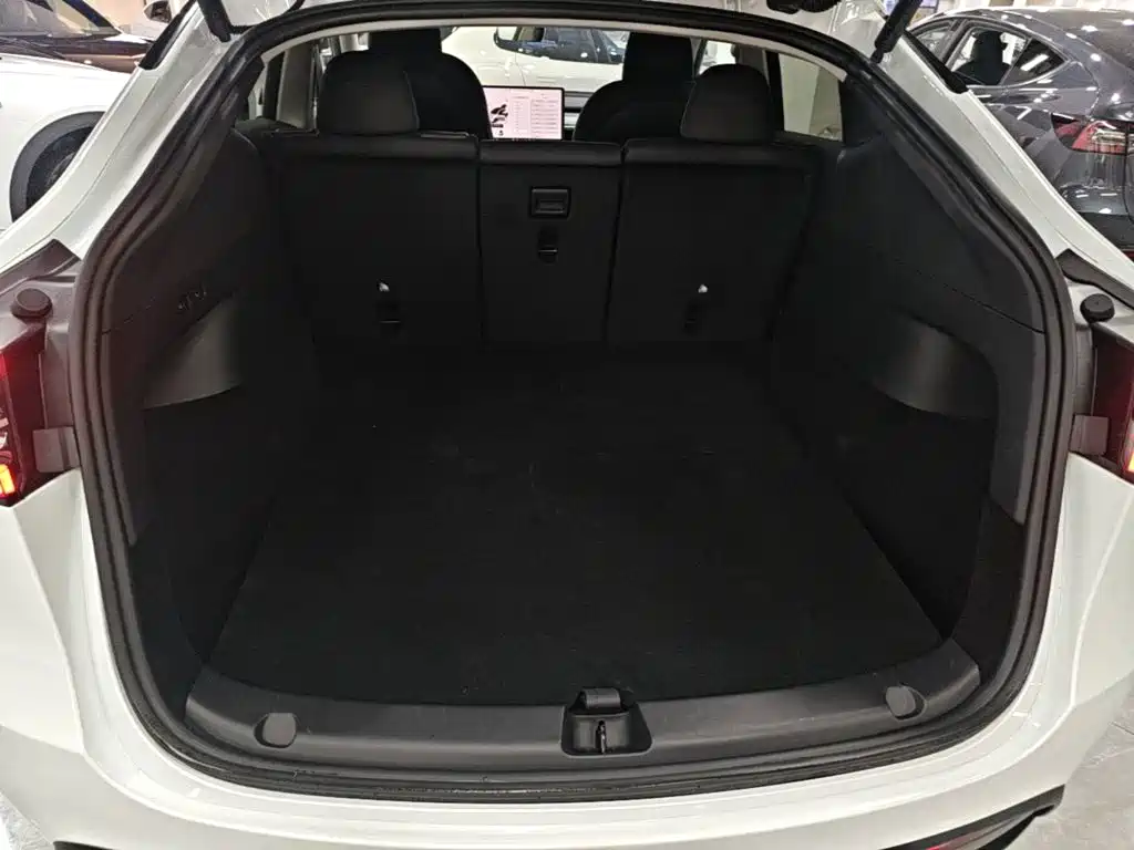 Tesla Model Y — миниатюра 19