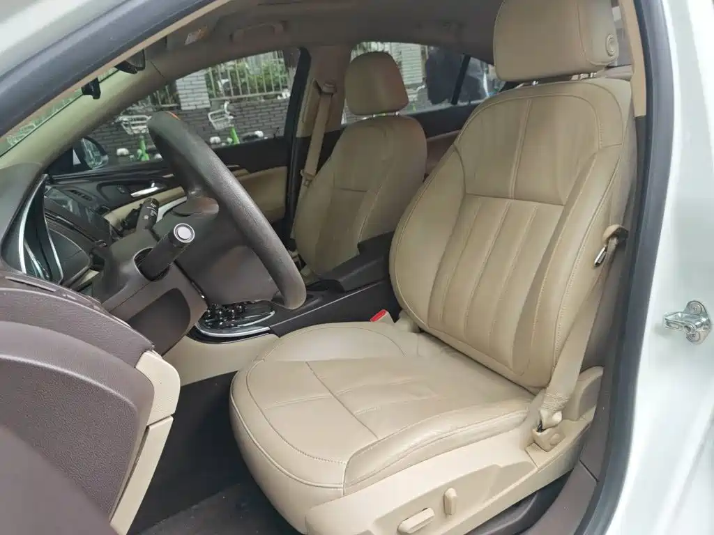 Buick Regal — миниатюра 11