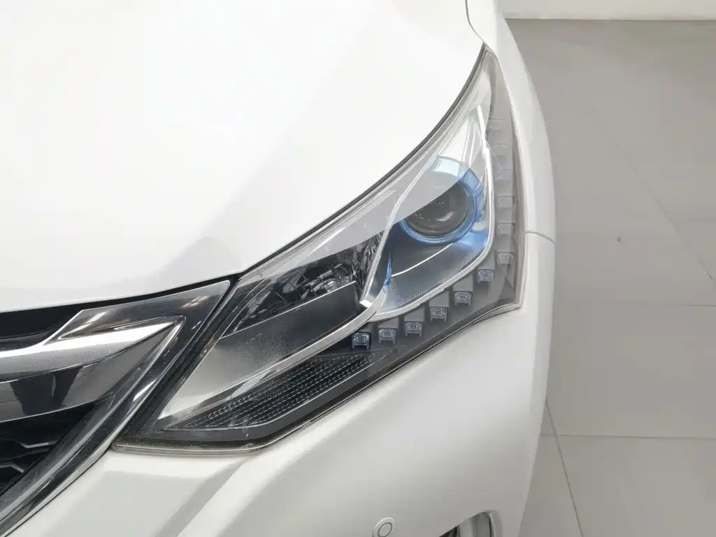 BYD Song — миниатюра 7