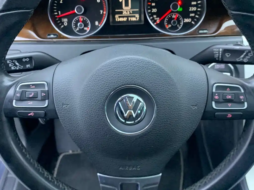 Volkswagen Magotan (Import) — миниатюра 11