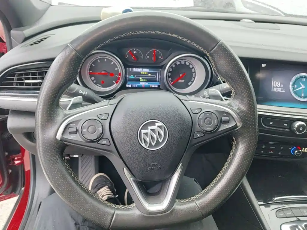 Buick Regal — миниатюра 11