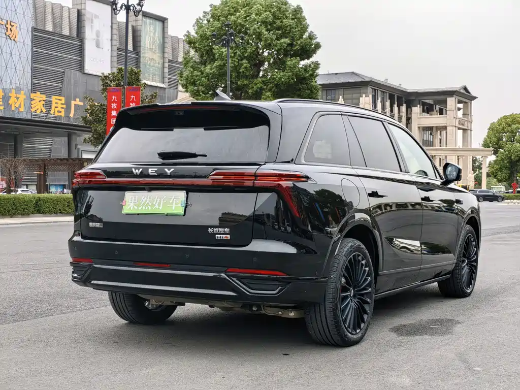 Wey Wey Lanshan — миниатюра 5