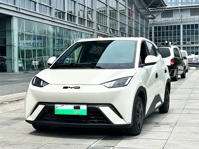 2024 BYD Seagull