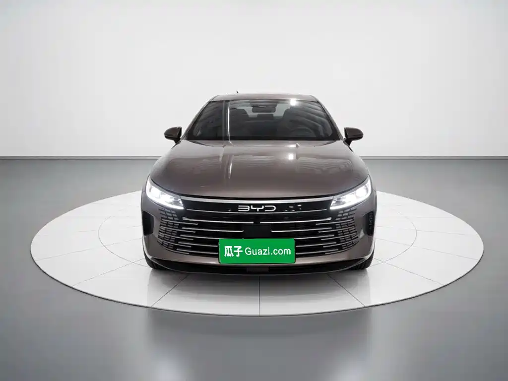 BYD Destroyer 05 — миниатюра 2
