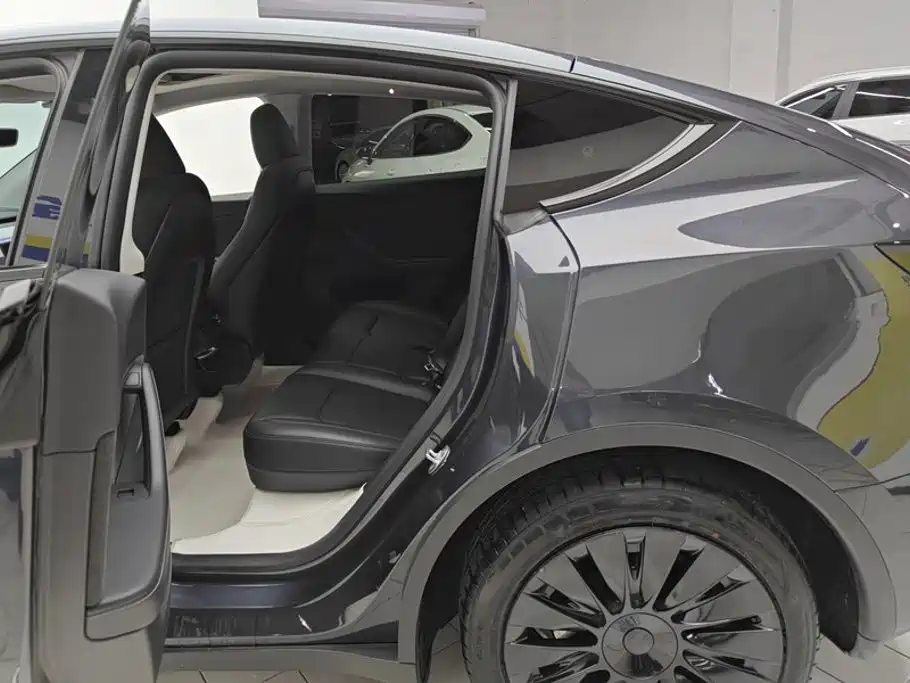 Tesla Model Y — миниатюра 11