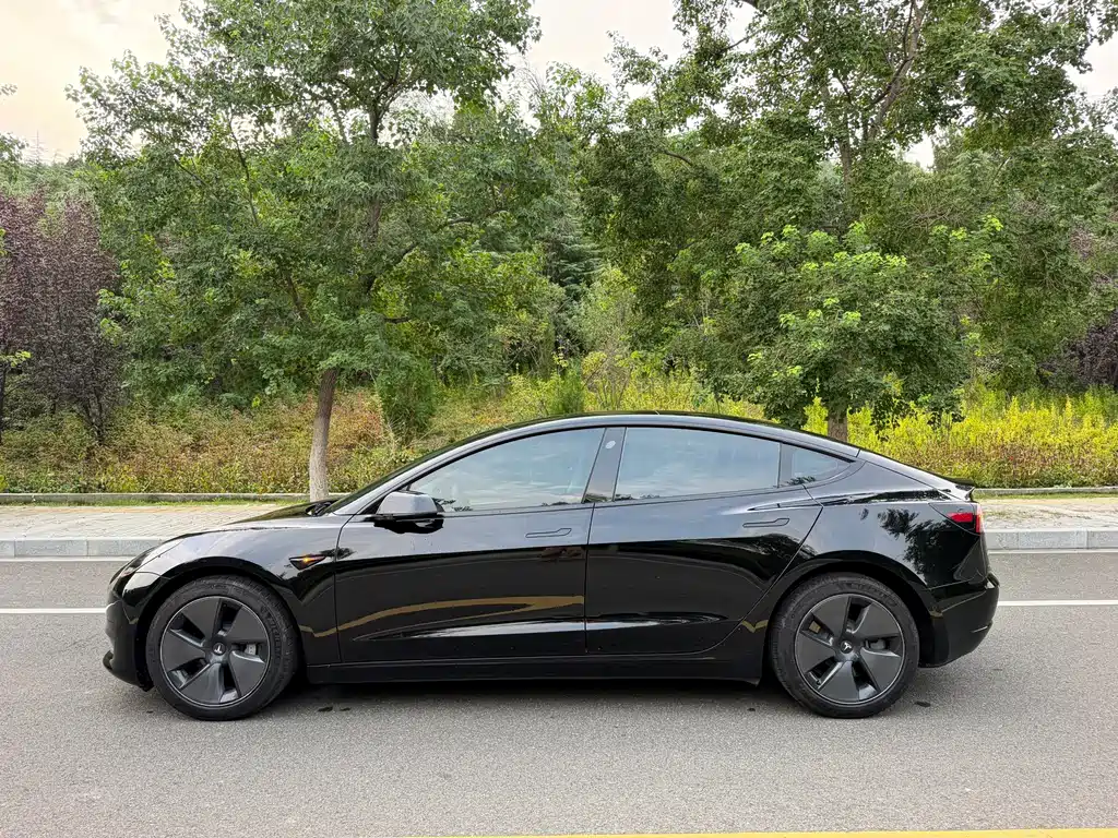 Tesla Model 3 — миниатюра 4