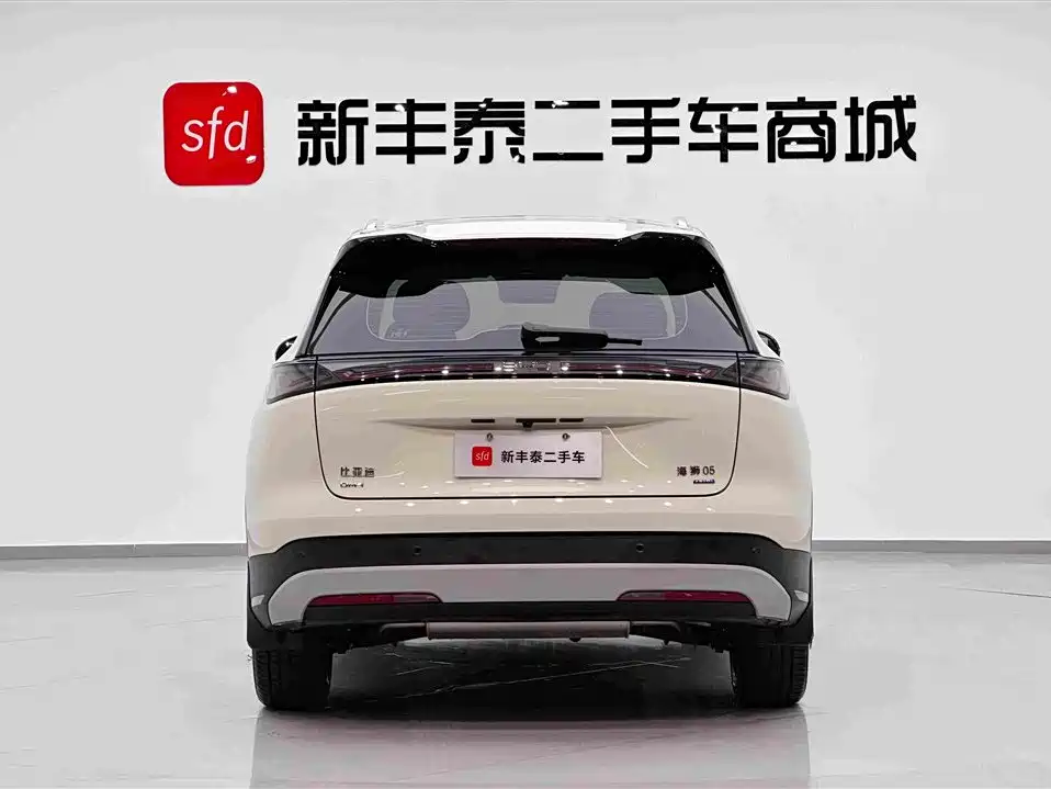 BYD Sealion 05 DM-i — миниатюра 7