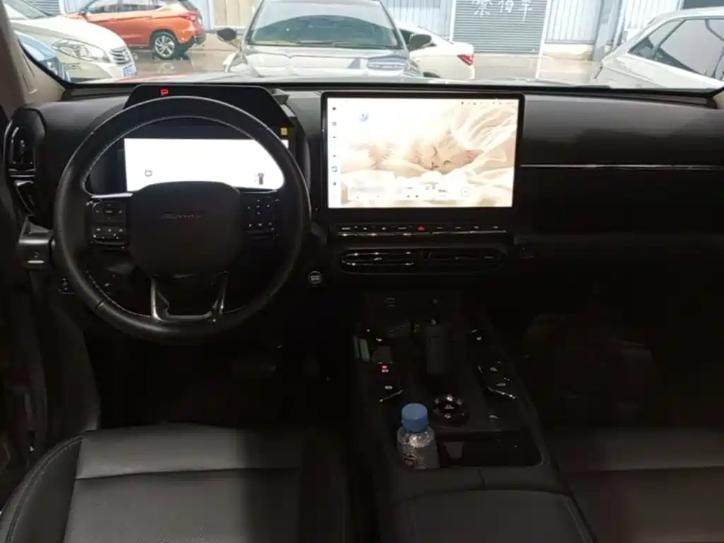Haval Плюс новая энергия. — миниатюра 10