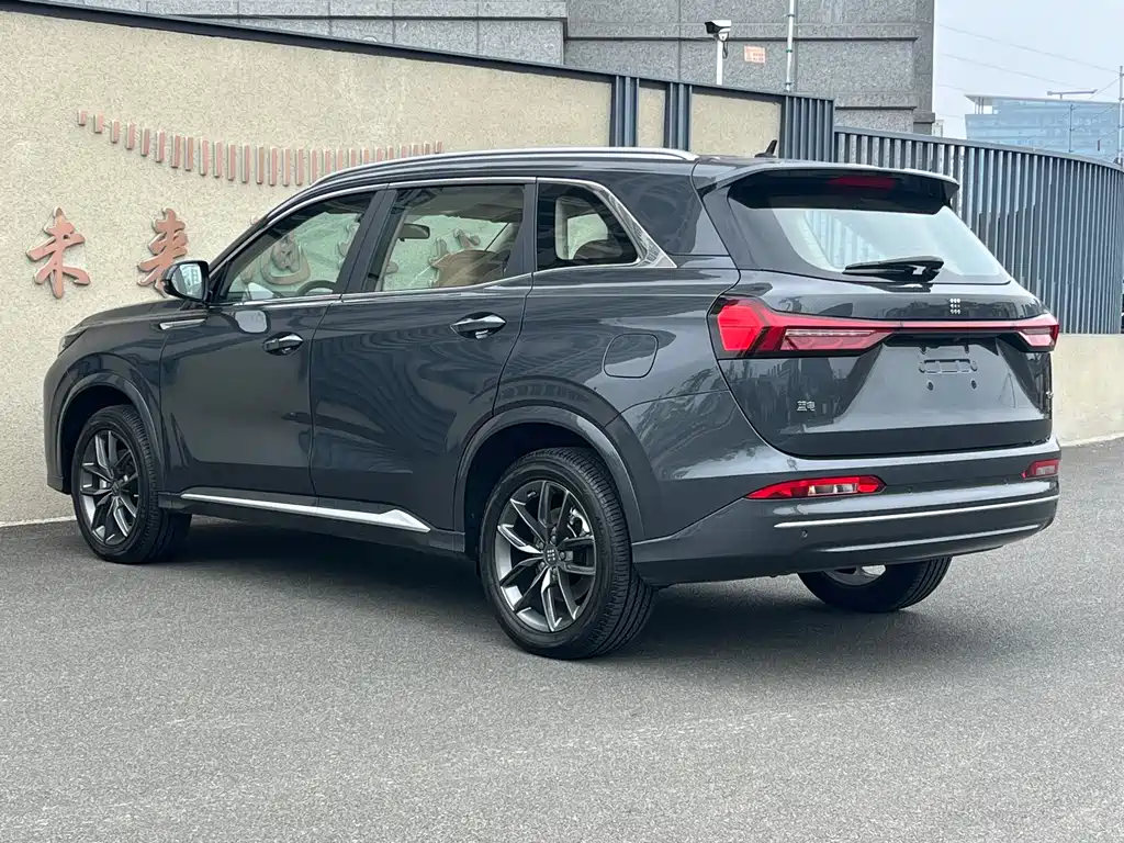 Landian E5 PLUS 2025 165km 7 мест