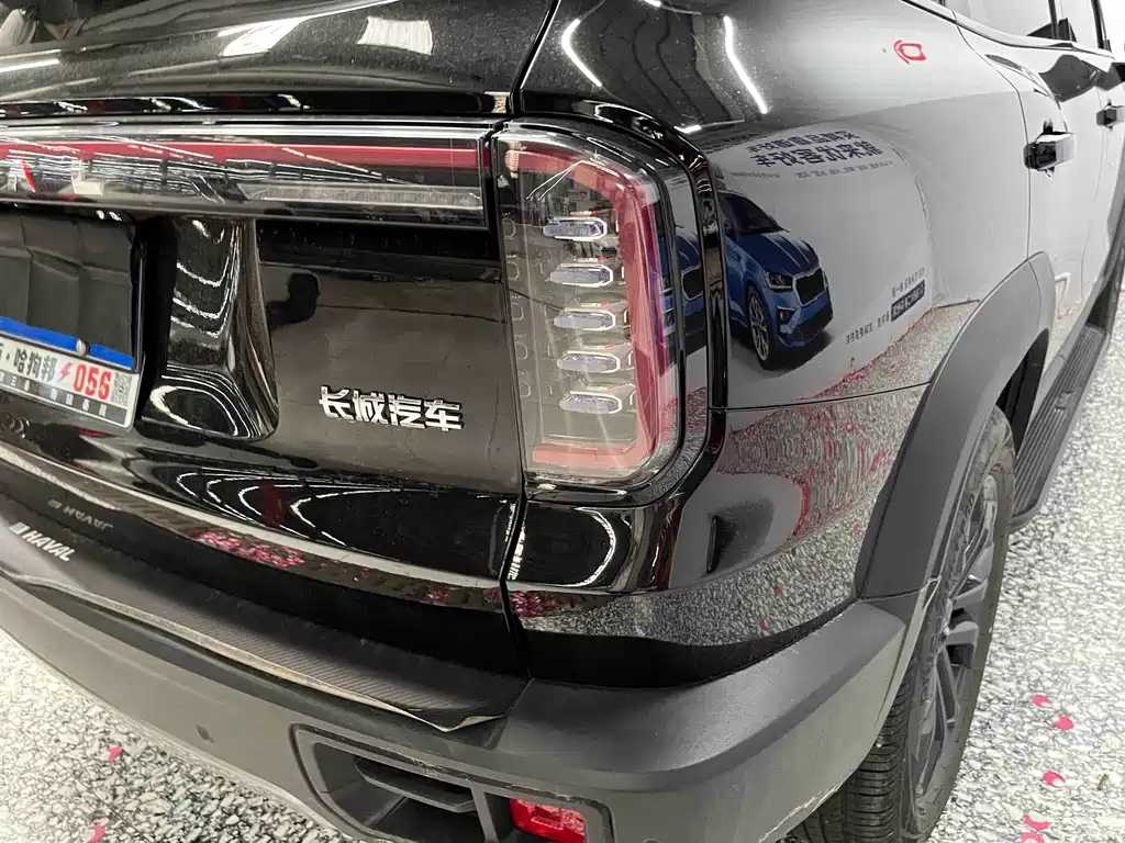 Haval 长城大狗 — миниатюра 19