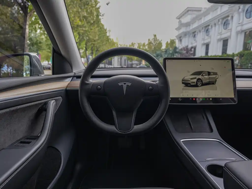 Tesla Model Y — миниатюра 9