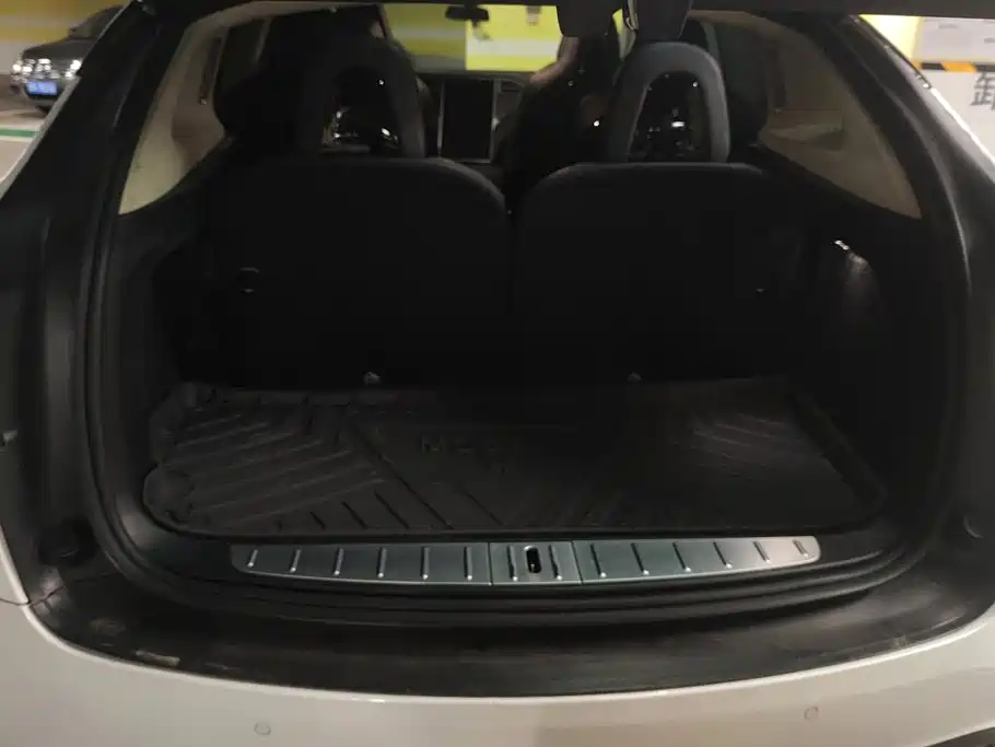 Tesla Model X — миниатюра 4