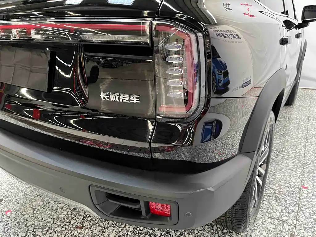 Haval 长城大狗 — миниатюра 19