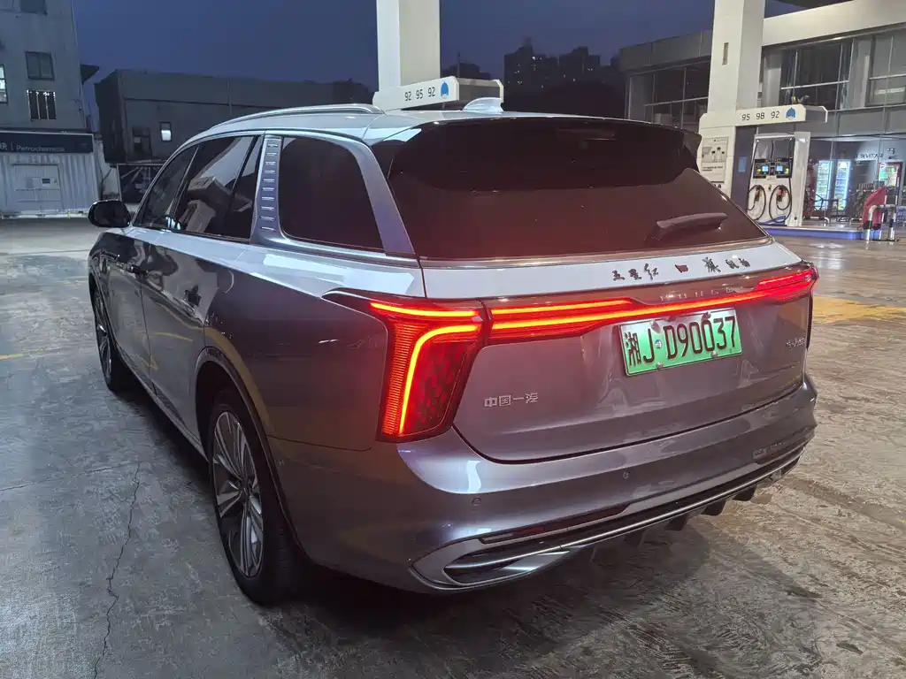 Hongqi Hongqi E-HS9 — миниатюра 4