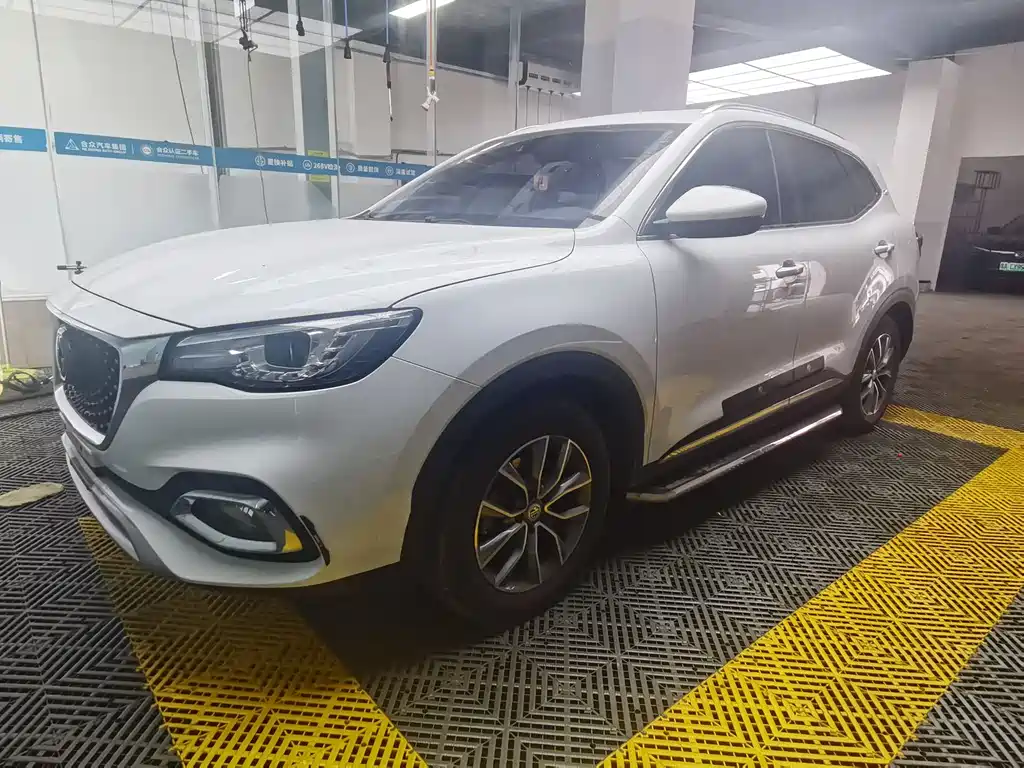 Mg HS 2019